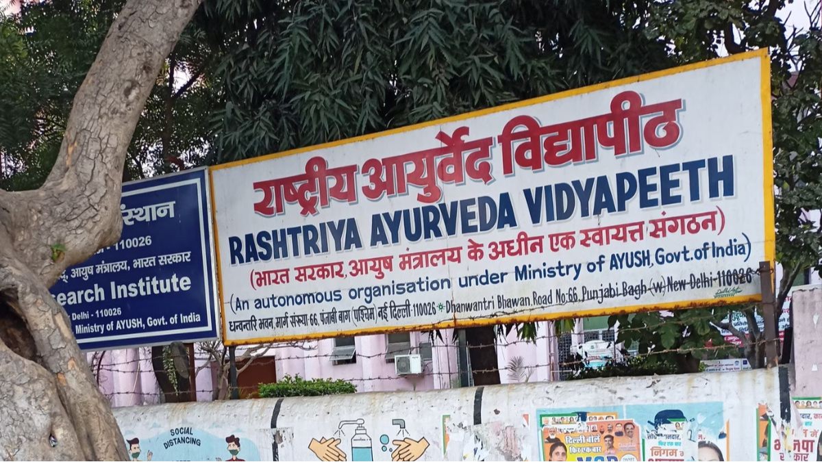 Interviews for RAV Project Consultant in August