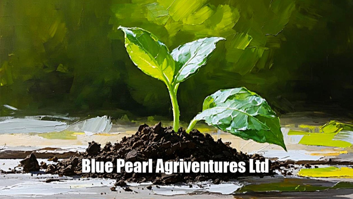 Blue Pearl Agriventures Ltd appoints Samirbhai Godil as MD