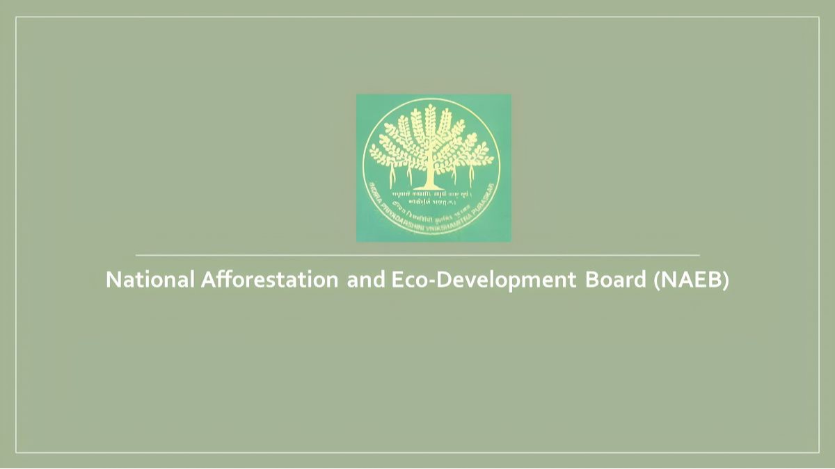 Research Associates ,National Afforestation ,Development Board ,Ministry of Environment