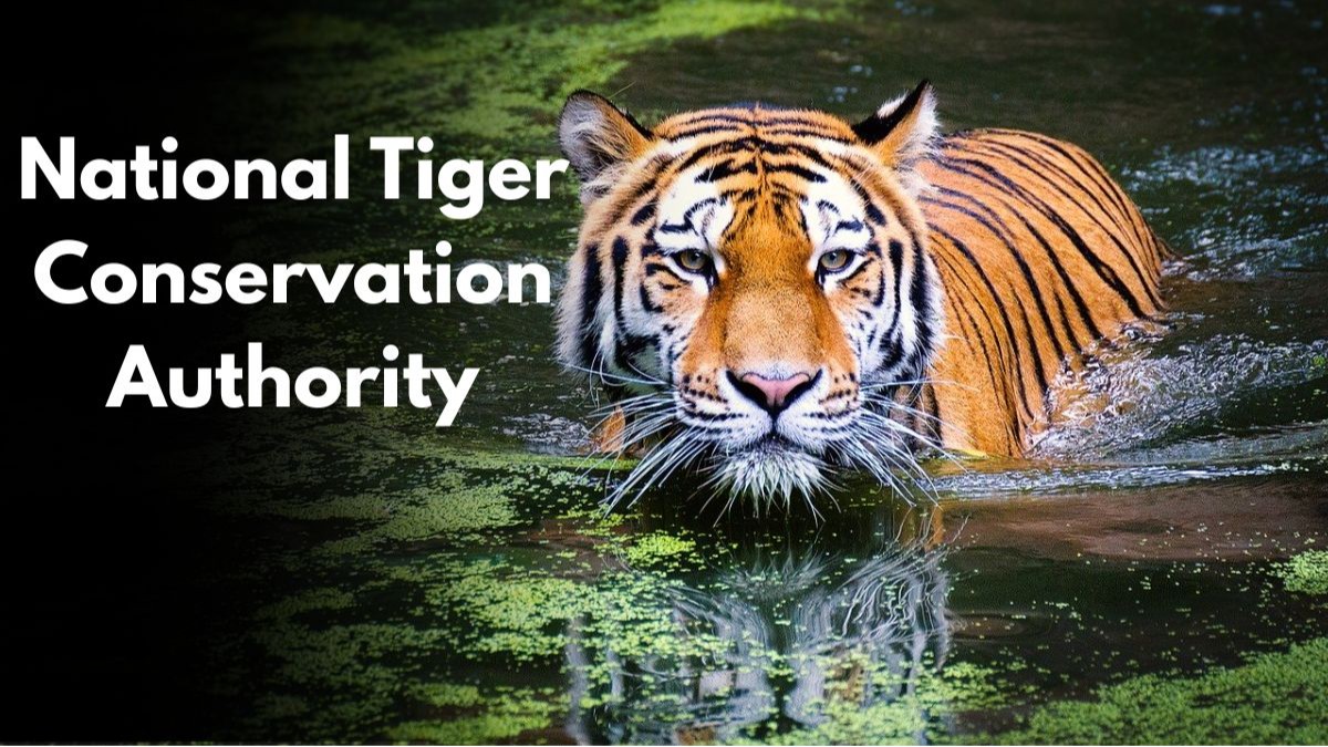 MoEF revises last date to apply for Dy Director-Fin, NTCA