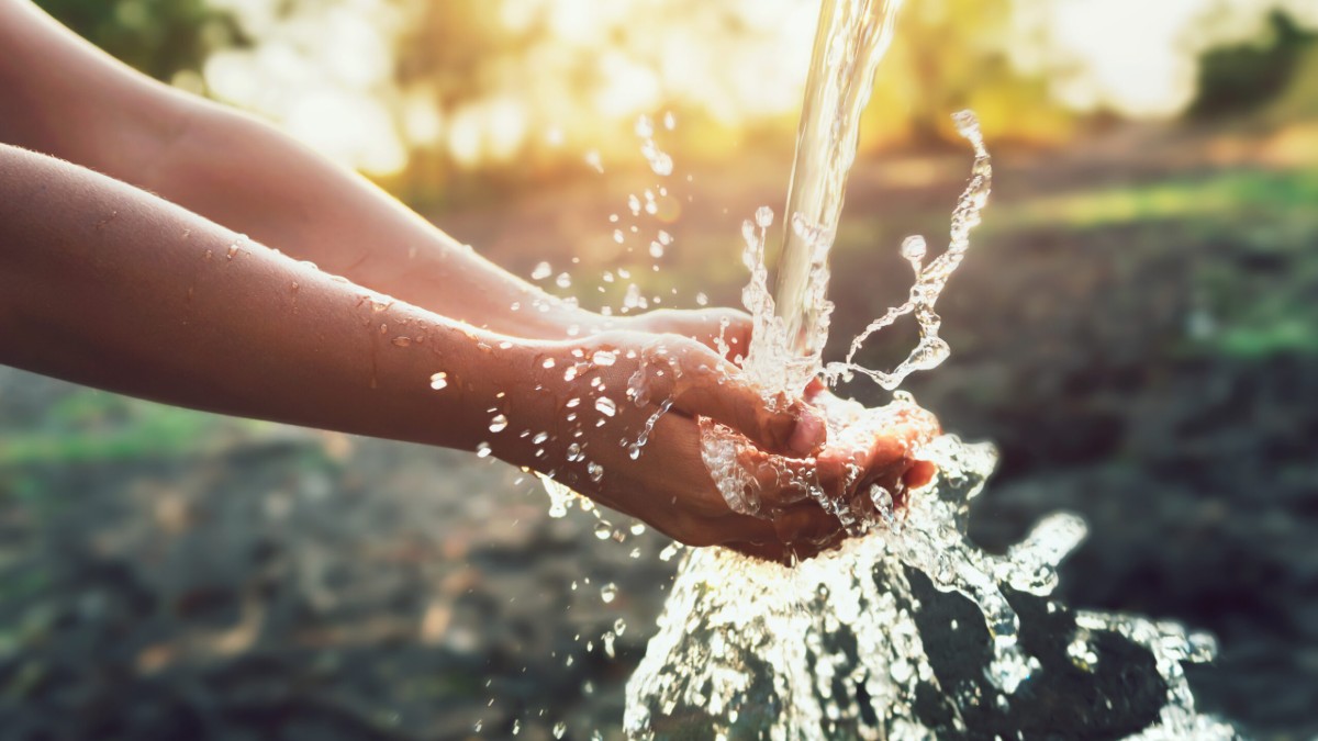 Avinash Jain appointed as Joint Secretary, Water Resources