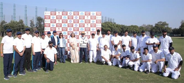 From boardrooms to boundaries: teams light up cricket field